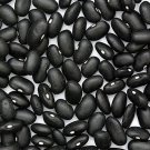 Black Turtle Bean 25 Seeds - Heirloom, Bush Type Bean