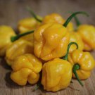 25 Hot Scotch Bonnet Yellow Premium Pepper Fresh Seeds Garden