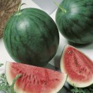 25 Premium Sugar Baby Watermelon Fresh Seeds Garden