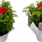 4" Pot Frosty Fern Selaginella Festive with Cardinal Pick and Decorative Pot Cover