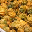 25+ Pepper X Seeds for Extremely Spicy Garden Planting