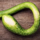 25 Tromboncino Squash Seeds