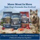 Blue Buffalo Wilderness Salmon Adult Dog Dry Food   24-lb bag, bundle of 2