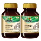 Zandu Shilajit Capsule, 60 capsules x Po2, Original and Pure Himalayan Shilajeet,