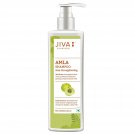 Jiva Amla Shampoo |Anti Hair Fall Shampoo for Men & Women - 200 ml (Pack of 1)