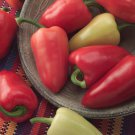 Mariachi Pepper - 10 Seeds - Mildly Hot
