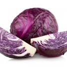 Ruby Perfection Cabbage Plant - Easy to Grow, Great Taste - 2.5" Pot Ruby Perfection Cabbage Plant - Easy to Grow, Great Taste - 2.5" Pot
