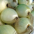 Walla Walla Onion 80 Seeds - Very Mild/Eat Like Apple