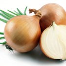 Hybrid Candy Onion - 50 Seeds - Incredibly Sweet & Mild