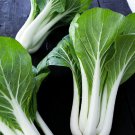Pak Choi Cabbage - 100 Seeds Pak Choi Cabbage - 100 Seeds