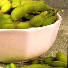 Garden Soy Vegetable Soybeans 100 Seeds - Veggie