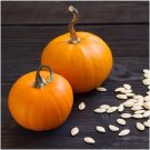 Small Sugar Pie Pumpkin Seeds - 50 Seeds