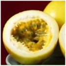 Yellow Possum Passion Fruit Live Plant Passiflora edulis