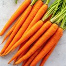 300 Imperator Carrot Seeds Vegetables Indoor Outdoor Gardening