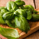 200 Genovese Basil Seeds Vegetables Indoor Outdoor Gardening