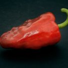 25 Sweet Cascadura Pepper Seeds Vegetables Indoor Outdoor Gardening