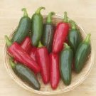 25 Jalapeno M Pepper Seeds Vegetables Indoor Outdoor Gardening