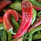 25 Hatch Ms. Junie Pepper Seeds Vegetables Indoor Outdoor Gardening