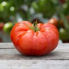 30 Beefsteak Tomato Seeds Vegetables Indoor Outdoor Gardening