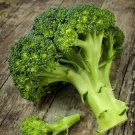 500 Waltham 29 Broccoli Seeds Vegetables Indoor Outdoor Gardening