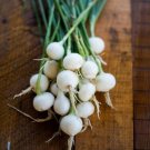 200 Crystal White Wax Onion Seeds Vegetables Indoor Outdoor Gardening