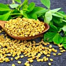 100 Fenugreek Herb Seeds Vegetables Indoor Outdoor Gardening