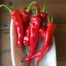 25 Hot Portugal Pepper Seeds Vegetables Indoor Outdoor Gardening