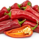 25 Fresno Chili Pepper Seeds Vegetables Indoor Outdoor Gardening