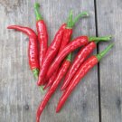 25 Long Thin Red Cayenne Pepper Seeds Vegetables Indoor Outdoor Gardening