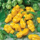 20 Sweet Yellow Habanero Pepper Seeds Vegetables Indoor Outdoor Gardening