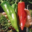 25 Hatch Big Jim Pepper Seeds Vegetables Indoor Outdoor Gardening