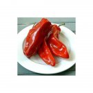 20 Nocera Giapponese Italian Pepper Seeds Vegetables Indoor Outdoor Gardening