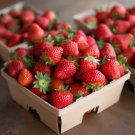 50 Chandler Strawberry Live Plants Bare Root June Bearing Indoor Outdoor Indoor Outdoor Garden Garde