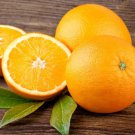 Glen Navel Orange Tree 26-30" Tall Live Citrus Plant Gallon Pot Grafted Indoor Outdoor Garden Garden