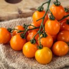 Tomato Orange Zima Hybrid Cherry Grape 15 Seeds Fresh Garden