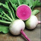 Radish Watermelon Winter 100 Vegetable Seed Organic Fresh Garden Radish Watermelon Winter 100 Vegetable Seed Organic Fresh Garden