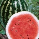 Watermelon Crimson Sweet Organic Open Pollinated Fresh Garden