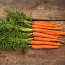 Carrot Scarlet Nantes Organic Seeds Fresh Garden