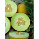 Honeydew Melon Sweet Delight Organic Fresh Garden