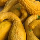 Squash Early Golden Crook Neck Organic Seeds Fresh Garden Squash Early Golden Crook Neck Organic Seeds Fresh Garden