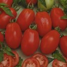 Tomato Rio Grande Determinate 15 Seeds Organic Fresh Garden