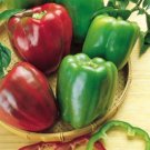 Pepper California Wonder 35 Organic Seeds Fresh Garden Pepper California Wonder 35 Organic Seeds Fresh Garden