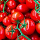 Tomato Sugar Bomb Cherry 15 Seeds Organic Fresh Garden