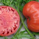 Tomato Mortgage Lifter 100 Seeds Open Pollinated Fresh Garden