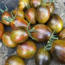Tomato Brads Atomic Grape Organic Fresh Garden