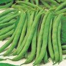 Bean Tendergreen Snap 75 300 Vegetable Seeds Fresh Garden