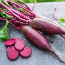 Beet Italian Forono 50 Seeds Organic Fresh Garden