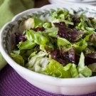 Lettuce Italian Mesclun Misticanza 100 Organic Seed Fresh Garden Lettuce Italian Mesclun Misticanza 100 Organic Seed Fresh Garden
