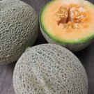 Cantaloupe Iroquois 40 Vegetable Seed Organic Op Fresh Garden