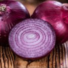 Onion Red Creole Organic Seeds Open Pollinated Fresh Garden